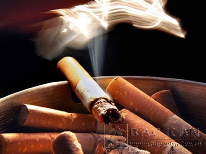 Hút thuốc: Nguyên nhân gây ra nhiều bệnh