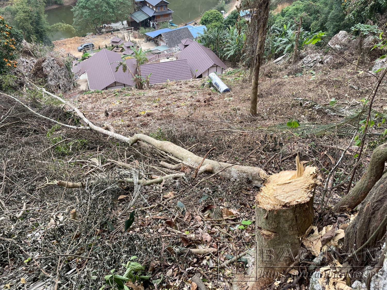 Hiện trường vụ hủy hoại rừng xảy ra tại Vườn Quốc gia Ba Bể