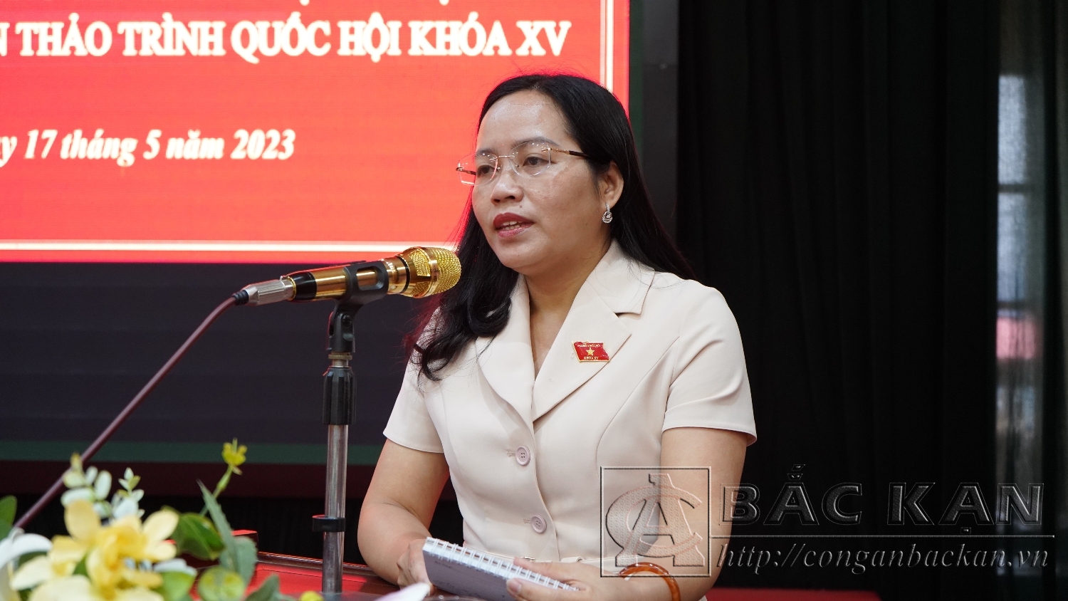 Đồng chí Hồ Thị Kim Ngân – Phó Trưởng Đoàn đại biểu Quốc hội khoá XV đơn vị tỉnh Bắc Kạn phát biểu tại Hội thảo