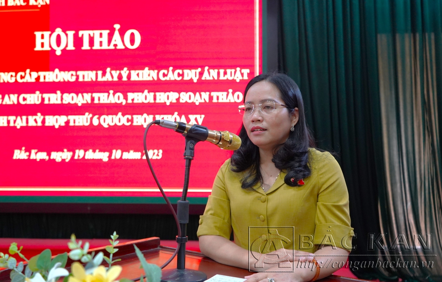 Đồng chí Hồ Thị Kim Ngân Tỉnh uỷ viên, Phó Trưởng đoàn Đoàn Đại biểu Quốc hội tỉnh Bắc Kạn phát biểu