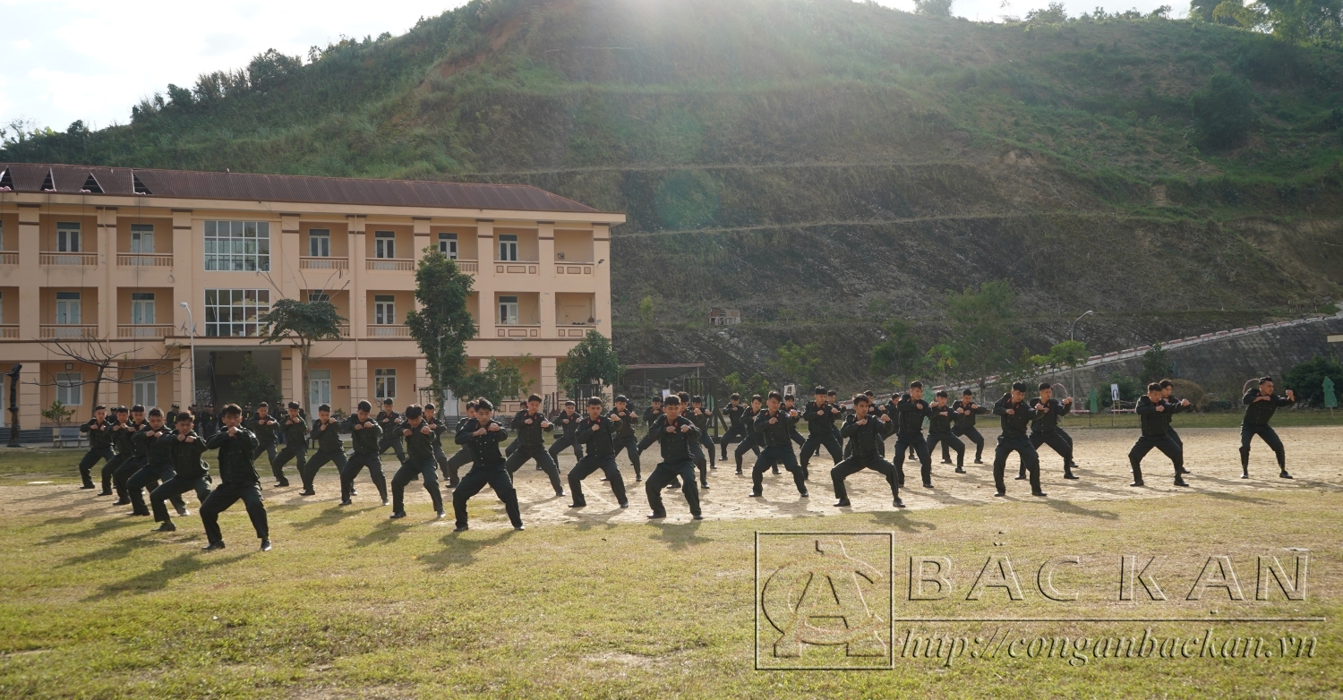 Lực lượng Cảnh sát cơ động đồng diễn các bài võ thuật Công an nhân dân