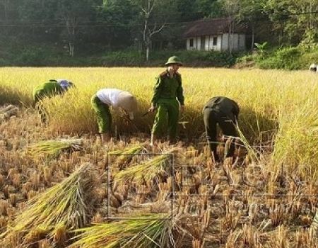 Lực lượng công an tỉnh Bắc Kạn có nhiều việc làm "Vì nhân dân phục vụ".