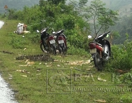 Việc người dân để tài sản sơ hở, không người trông coi như thế này rất dễ bị mất cắp