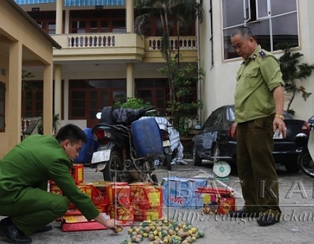 Số pháo vận chuyển trái phép được đưa về Quản lý thị trường tỉnh để xử lý