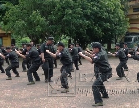 Lực lượng Cảnh sát cơ động Công an tỉnh tập luyện võ thuật (Ảnh minh họa)