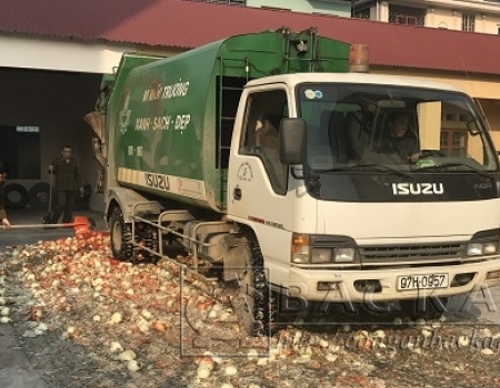 Hơn 800kg táo và hành củ nhập lậu bị tiêu hủy