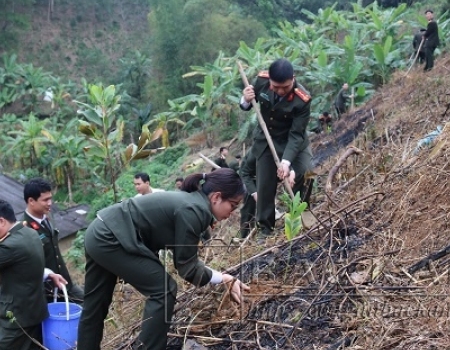 Sau Lễ phát động 1000 cây xanh đã được ĐVTN Công an tỉnh trồng tại đồi cây “Thanh niên làm theo lời Bác”