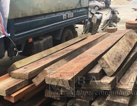 Xe ô tô và số gỗ vận chuyển trái phép bị Công an huyện Bạch Thông bắt giữ