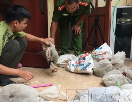 Lực lượng chức năng kiểm tra, thống kê số động vật hoang dã bị mua bán trái phép