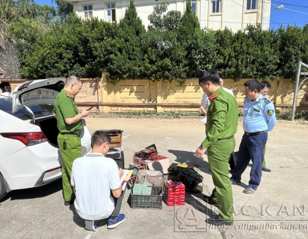 Lực lượng chức năng tiến hành kiểm tra số hàng hoá trên