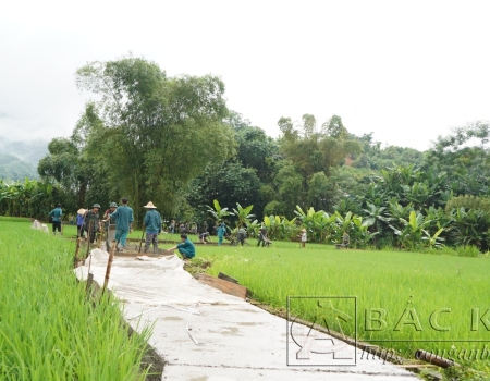 Khởi công sửa chữa và đổ bê tông tuyến đường nội đồng tại 2 thôn Nà Muồng, Nà Mỵ xã Giáo Hiệu