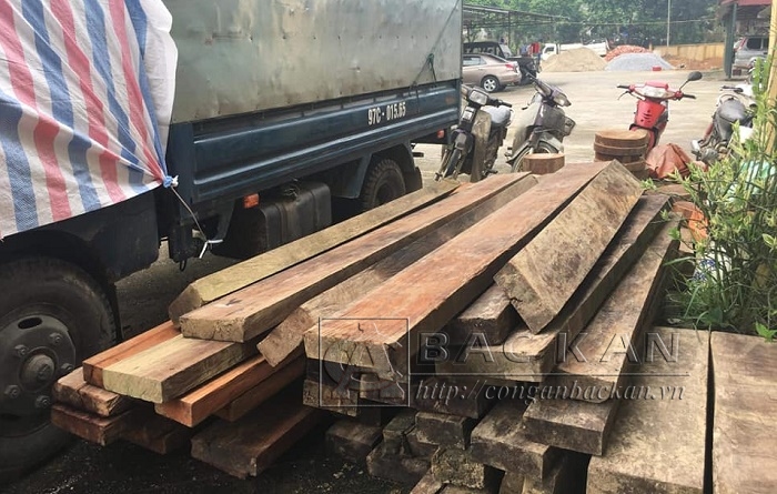 Xe ô tô và số gỗ vận chuyển trái phép bị Công an huyện Bạch Thông bắt giữ