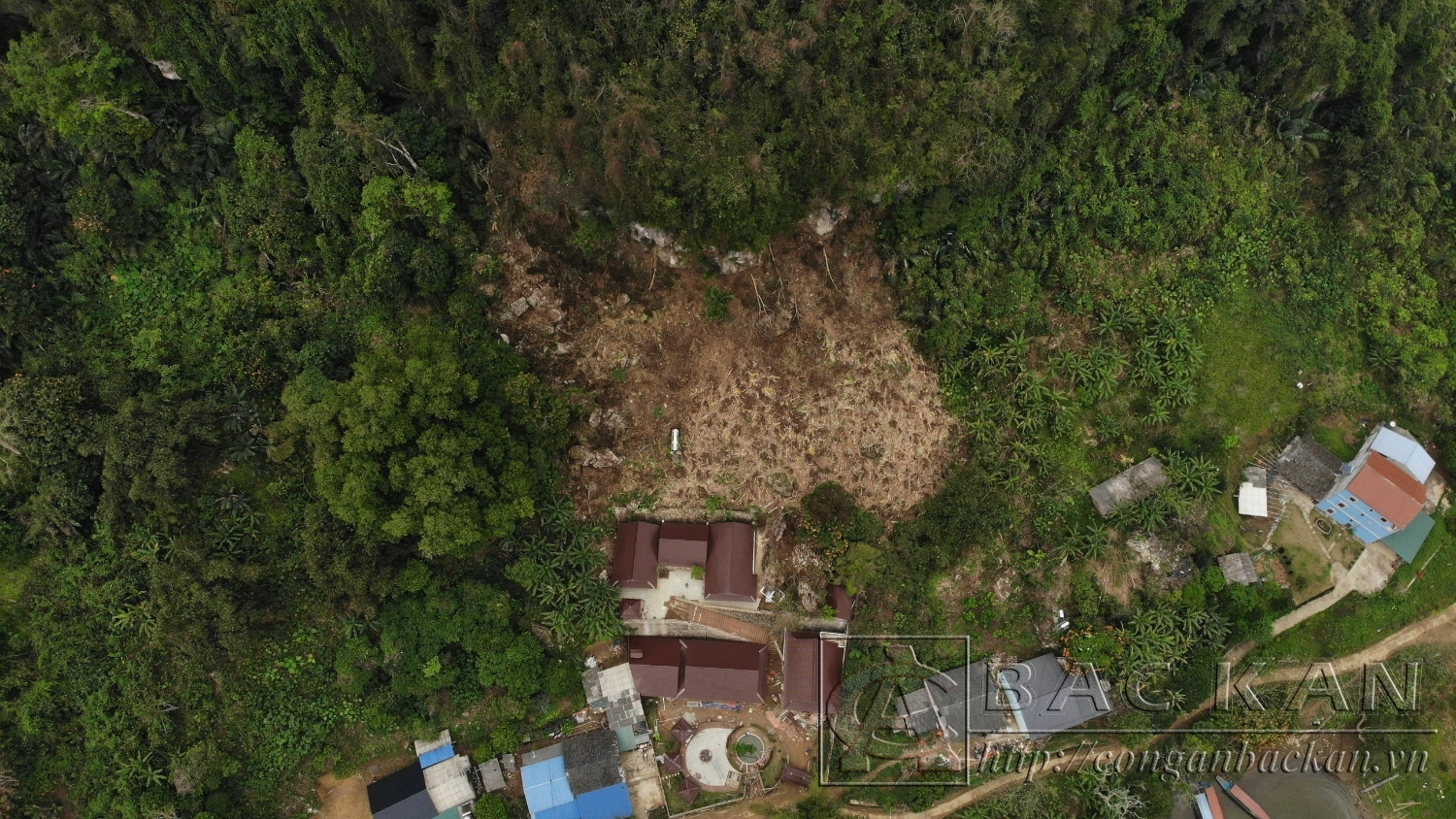  Hiện trường vụ hủy hoại rừng xảy ra tại xã Nam Mẫu, huyện Ba Bể, tỉnh Bắc Kạn