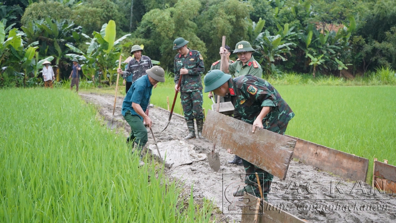 ảnh có a Hải