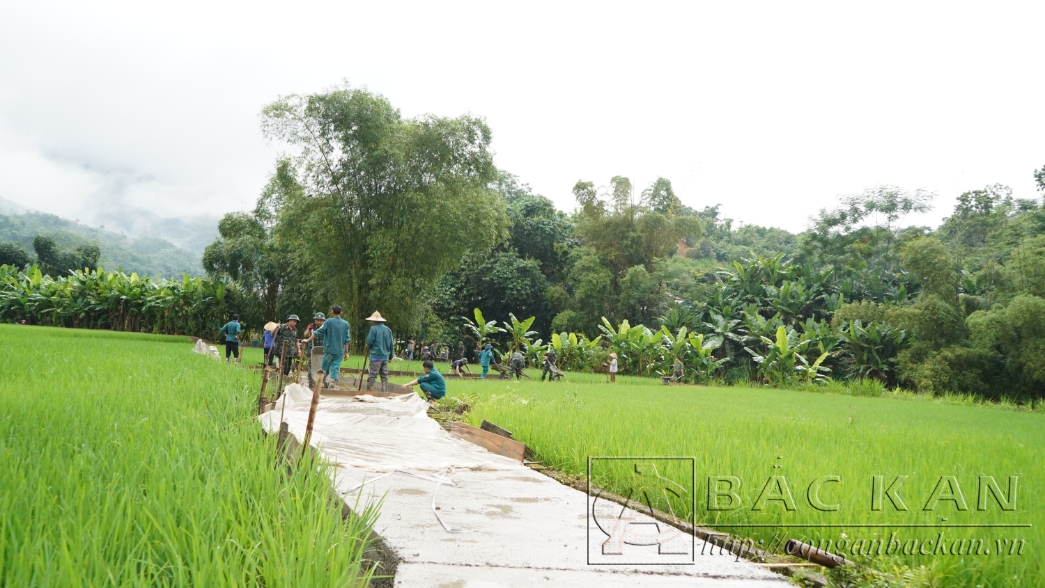 Khởi công sửa chữa và đổ bê tông tuyến đường nội đồng tại 2 thôn Nà Muồng, Nà Mỵ xã Giáo Hiệu