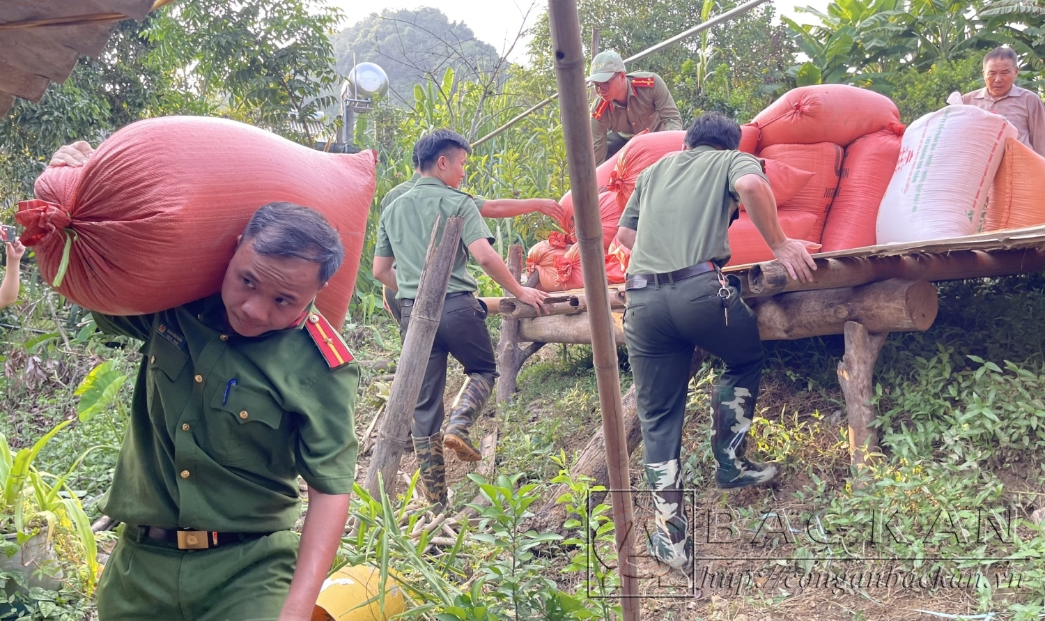 vác gạo