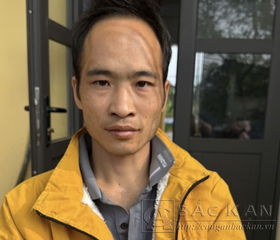 Đối tượng Tô Thành Luân
